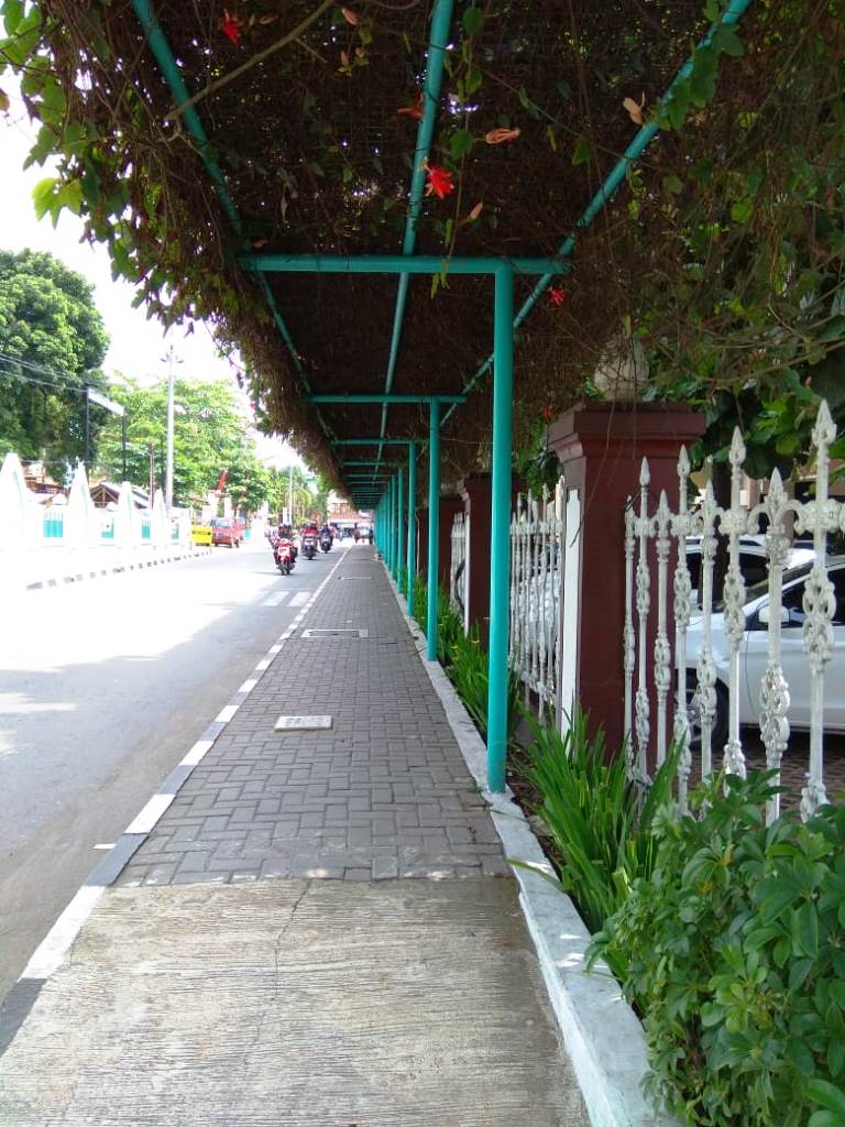 Pedestrian path policy on campus green uny